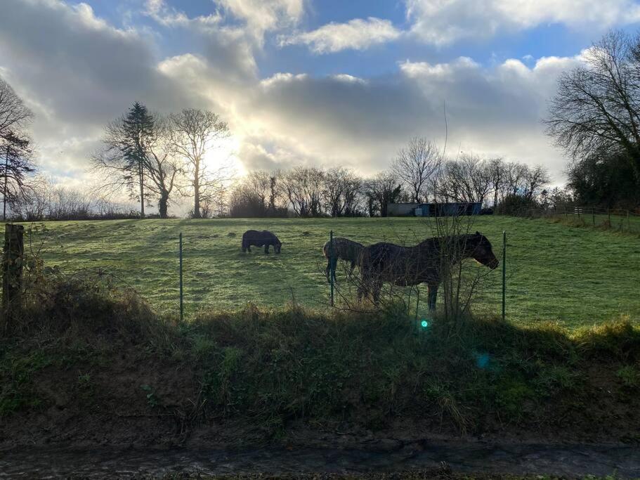 Gite " La Petite Maison" Livry  Bagian luar foto